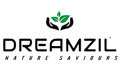 DreamZil-logo-transparant
